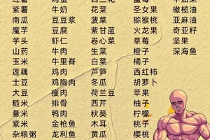 中年篮球爱好者的健康饮食方案:科学与实践的完美结合